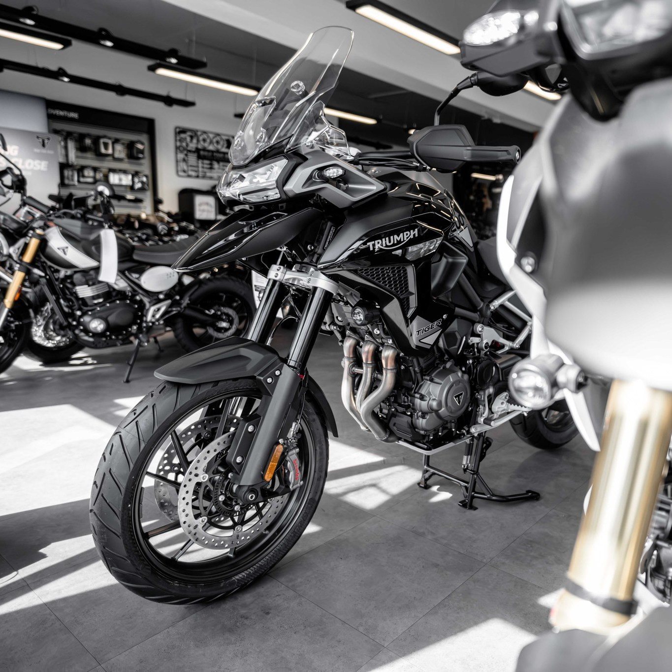 Vorschaubild für Post - Es gibt kein schlechtes Wetter - man braucht nur das richtige Motorrad 😁 - Triumph Tiger 900

Probefahrt buchen unter: www.vikingcycles de oder direkt in der Taschenmacherstraße 1-5 in 23556 Lübeck...lohnt sich!

#vikingcycles #vikingcyclesluebeck #triumphmotorcycles #triumphbonneville #triumphtiger #triumphspeedtwin #triumphspeedtriple #triumphstreettriple #triumphstreettwin #triumphscrambler #triumphtrident #triumphdaytona #testride #probefahrt #lübeck #wochenende #motorrad #raufaufsbike #kurvekratzen #freiheit