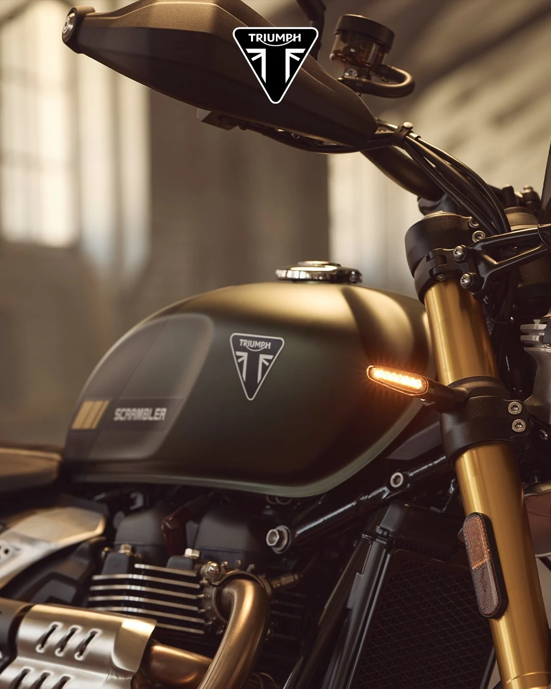 Vorschaubild für Post - Es sind oft die kleinen Details.

Ein Tank aus echtem Blech – hochwertig, robust und mit diesem besonderen Gefühl fürs Detail. 

Qualität, die man sieht. Und fühlt.

#triumphmotorcycle #bikerlife #triumphdeutschland #letsgo