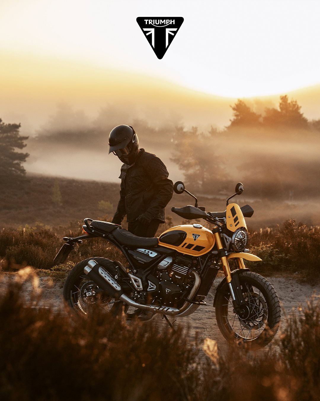 Vorschaubild für Post - Goldenes Licht, klare Luft, kalte Finger und ein breites Grinsen. So fühlt sich Herbst auf zwei Rädern an. 🍁

#Motorradfahren #Herbst #Herbstliebe #Motorrad #BikerLife #TwoWheels #GoldenHour #Triumph #TriumphMotorcycles