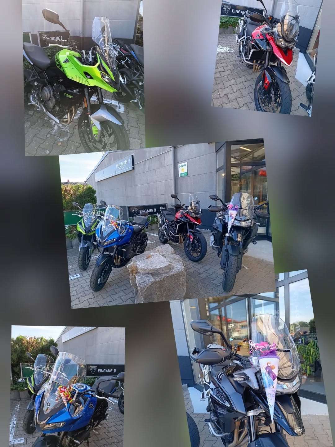 Vorschaubild für Post - Unserer zukünftigen Nachwuchskundschaft einen tollen Start beim Meistern aller zukünftigen Herausforderungen.

#Triumphchemnitz 
#triumphteamchemnitz 
#triumphgermany 
#triumphmotorcycles 
#fortheride