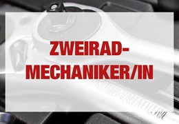 Kraftfahrzeugmechatroniker/in