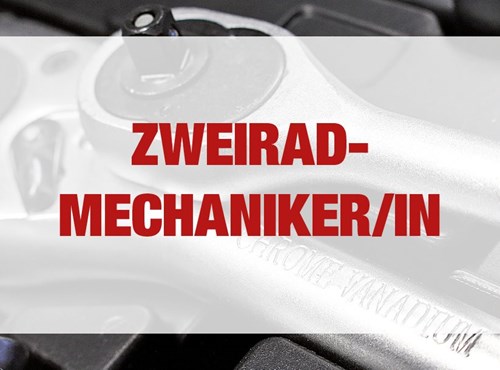 Kraftfahrzeugmechatroniker m/w/d