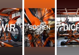 Service-Annahme (m/w/d)