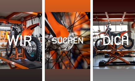 Service-Annahme (m/w/d)