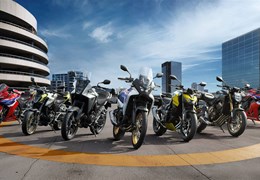 Mitarbeiter (m/w/d) auf Minijob-Basis