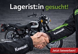 Lagerist:in