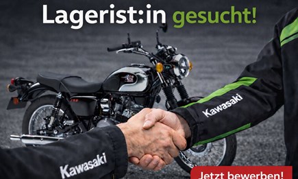 Lagerist:in