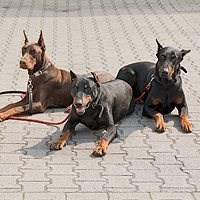 Mitarbeiterbild Die Nachtschicht