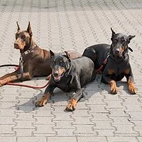 Die Nachtschicht Mitarbeiterbild Die Nachtschicht