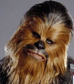 Mitarbeiterbild Hans Jürgen Meyer