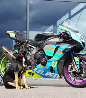 Mitarbeiterbild Lotta 