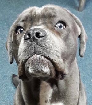 Mitarbeiterbild Thor Bubel