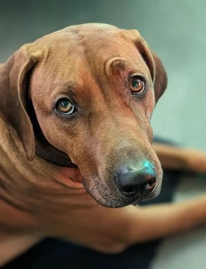 Mitarbeiterbild Lotte 