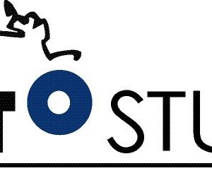 Mitarbeiterbild Denis Stauber