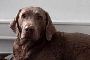 Lea  Mitarbeiterbild Lea