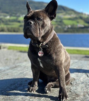 Mitarbeiterbild Joker 