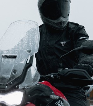 Mitarbeiterbild L. Zaiser