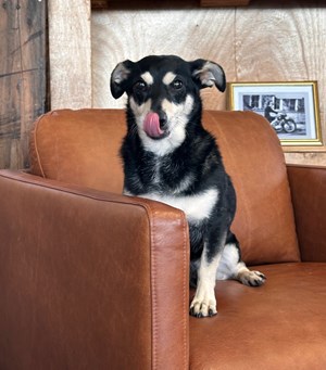 Mitarbeiterbild Benny 