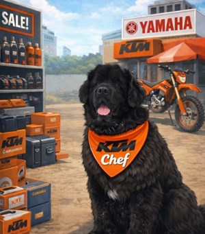 Mitarbeiterbild Kenai 