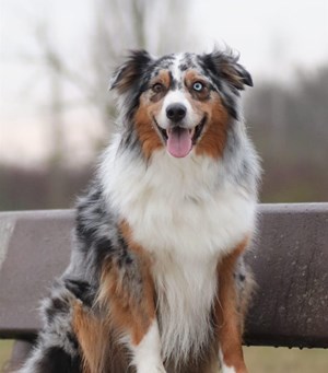 Mitarbeiterbild Thiago Security-Leiter