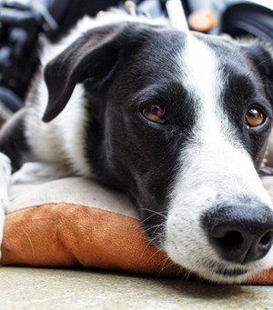 Mitarbeiterbild Lilly 