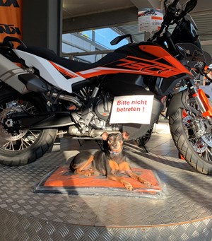 Mitarbeiterbild Jamie 