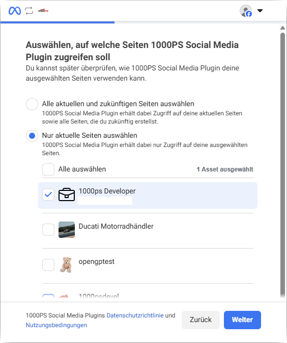 Facebook-Seiten auswählen