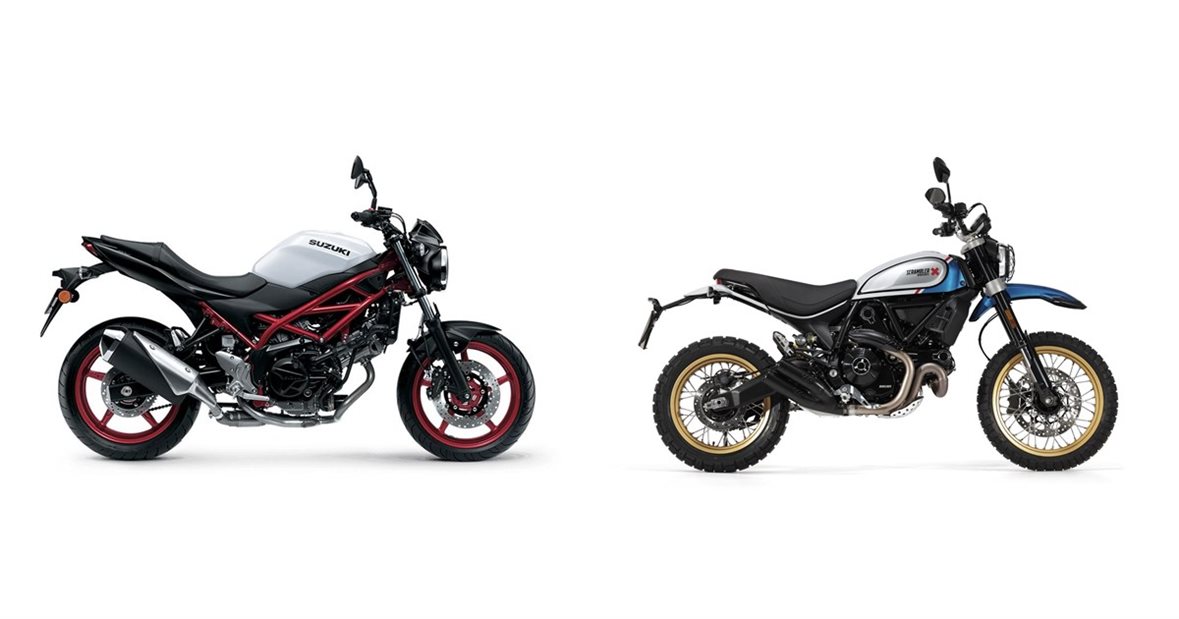 Motorrad Vergleich Suzuki Sv Vs Ducati Scrambler Desert Sled