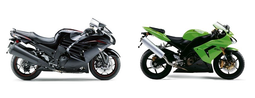 - A -様 Phylogeny and Taxonomic Revision of the Genus Melanosciadium