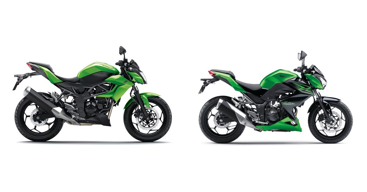 並行輸入品】 カワサキZ250 ER250c d z300 2013-2017 アクセサリー 