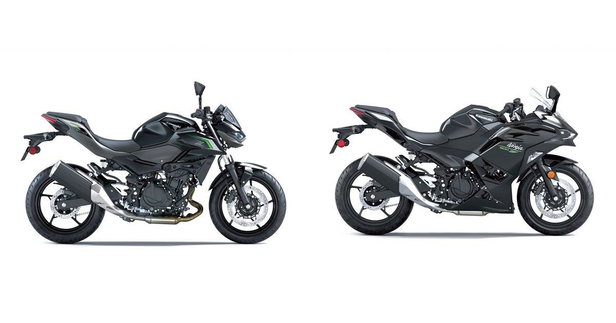 Motorrad Vergleich Kawasaki Z 500 2024 vs. Kawasaki Ninja 500 2024