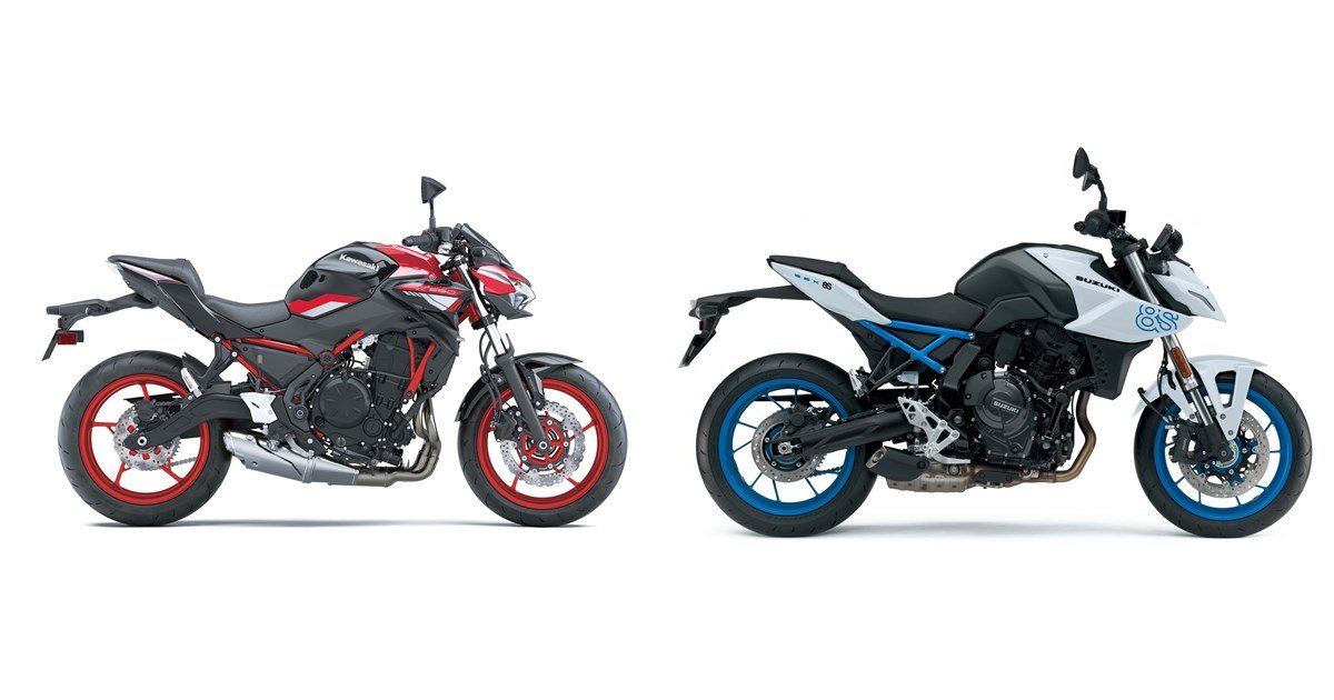 ★特選スペシャル★超シンプルにして最強【4096♫ヒマラヤvsアーカンソー】❤️ Kawasaki Z650 2024 vs Suzuki GSX-8S 2024