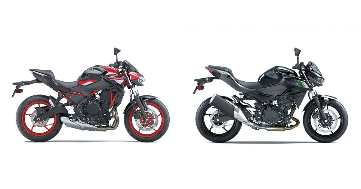 Kawasaki Z650 2024 vs Kawasaki Z 500 2024