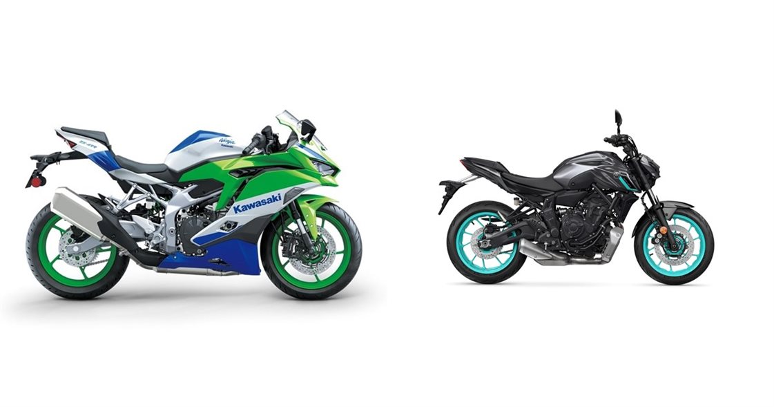 ミミガー 2024 Kawasaki Ninja ZX-4RR 40th Anniversary Edition ABS