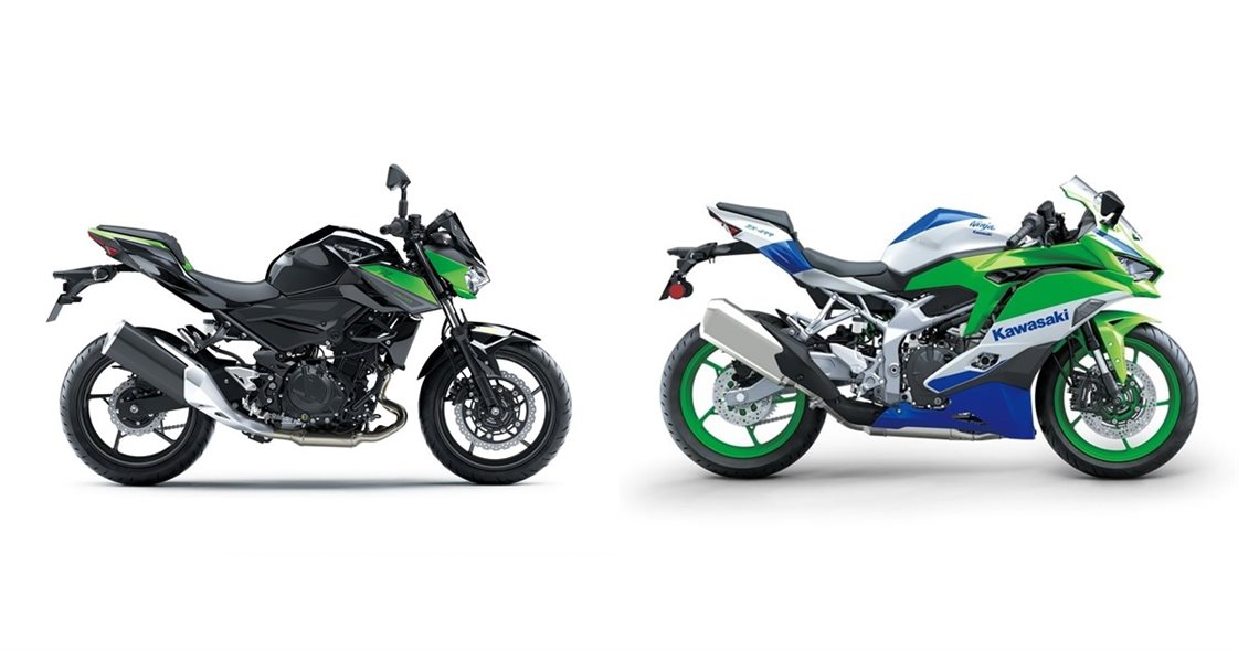 Motorrad Vergleich Kawasaki Z Vs Kawasaki Ninja Zx Rr Th Anniversary Edition