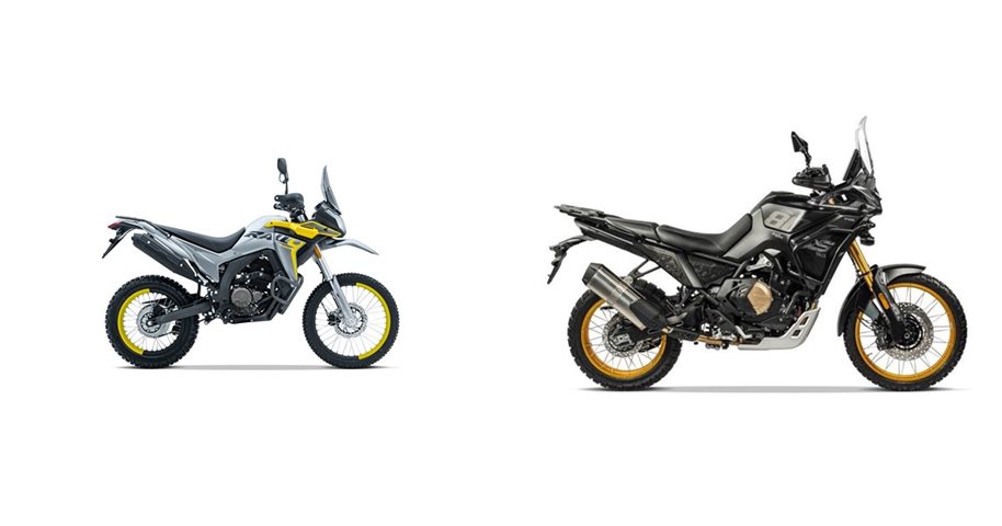 Voge 300 Rally 2024 vs Voge DS800X Rally 2026