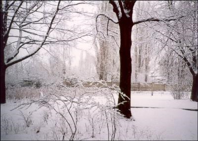 Wintereinstellplätze Wintereinstellplätze