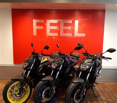 Aktion Juni 2018 - Bild 2