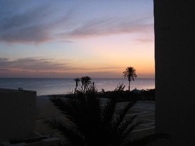 Wüstentour November 2008 - schnell anmelden!!!!