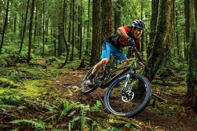 MTB bei Auner! - Bild 2