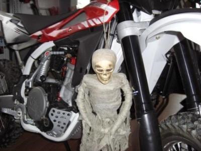 HUSQVARNA HALLOWEEN DAYS - Bild 1