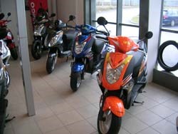 Neu Eingetroffen  - Bild 1 Neu Eingetroffen  - Bild 1