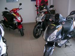 Neu Eingetroffen  - Bild 2 Neu Eingetroffen  - Bild 2