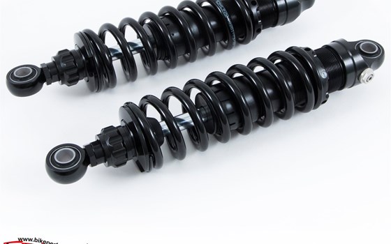 Neue Öhlins Komponenten für die modernen Klassik Bikes von Triumph! - Bild 1