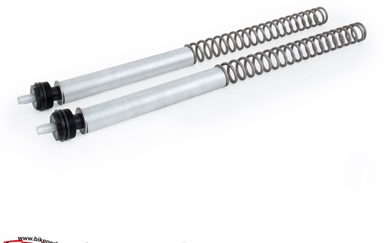 Neue Öhlins Komponenten für die modernen Klassik Bikes von Triumph! - Bild 4