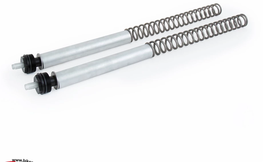 Neue Öhlins Komponenten für die modernen Klassik Bikes von Triumph! Bild 4: Neue Öhlins Komponenten für die modernen Klassik Bikes von Triumph!