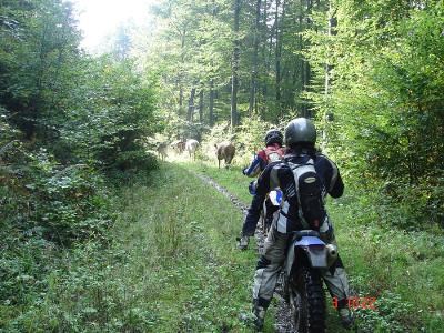 Genussendurowandern - Bild 4