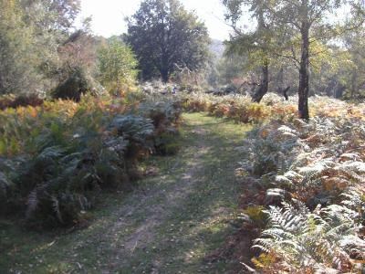 Genussendurowandern - Bild 7