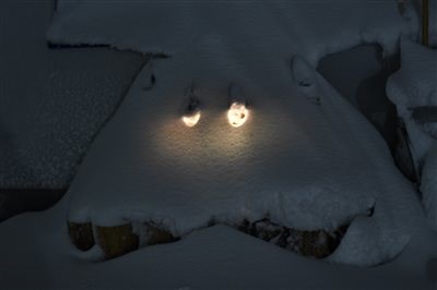 Frohe Weihnachten und ein erfolgreiches 20/20    - Bild 2