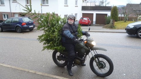 Weihnachtsbaum erfolgreich ausgeliefert 